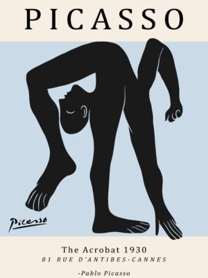PICASSO acrobat