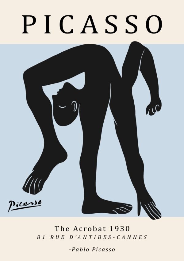 PICASSO acrobat