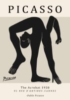 PICASSO acrobat