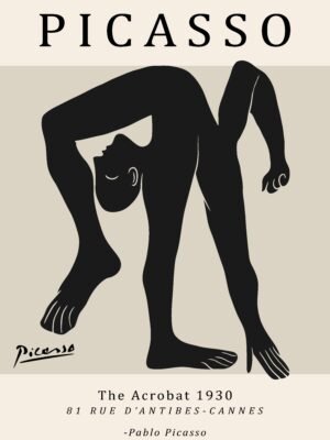 PICASSO acrobat