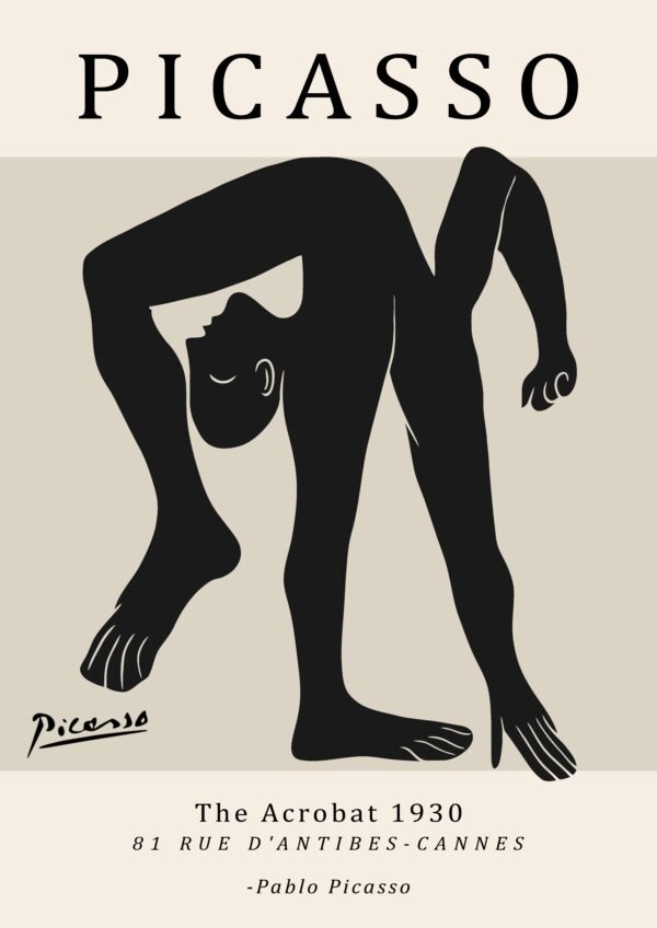 PICASSO acrobat