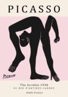 PICASSO acrobat