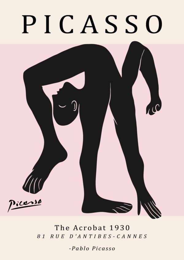 PICASSO acrobat