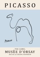 PICASSO camel
