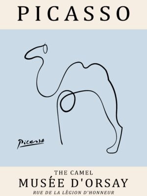 PICASSO camel