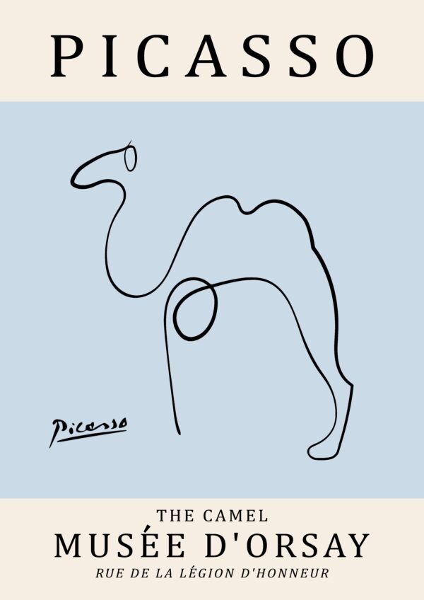 PICASSO camel