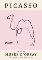 PICASSO camel