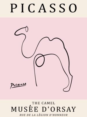 PICASSO camel