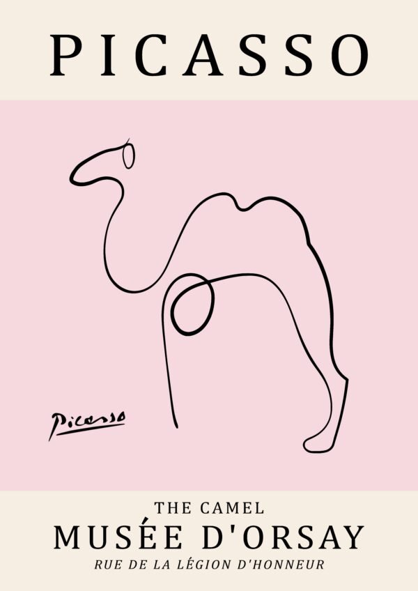PICASSO camel