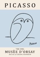 PICASSO owl