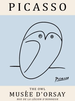 PICASSO owl