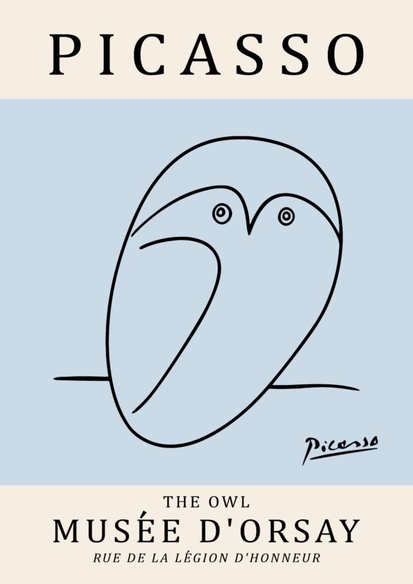 PICASSO owl