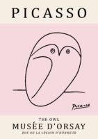 PICASSO owl