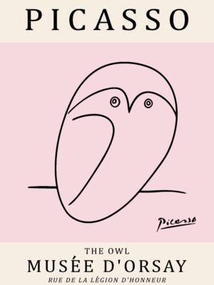 PICASSO owl