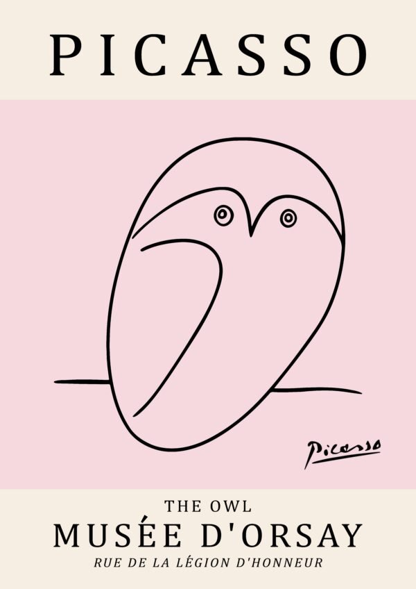PICASSO owl