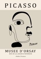 PICASSO cubism