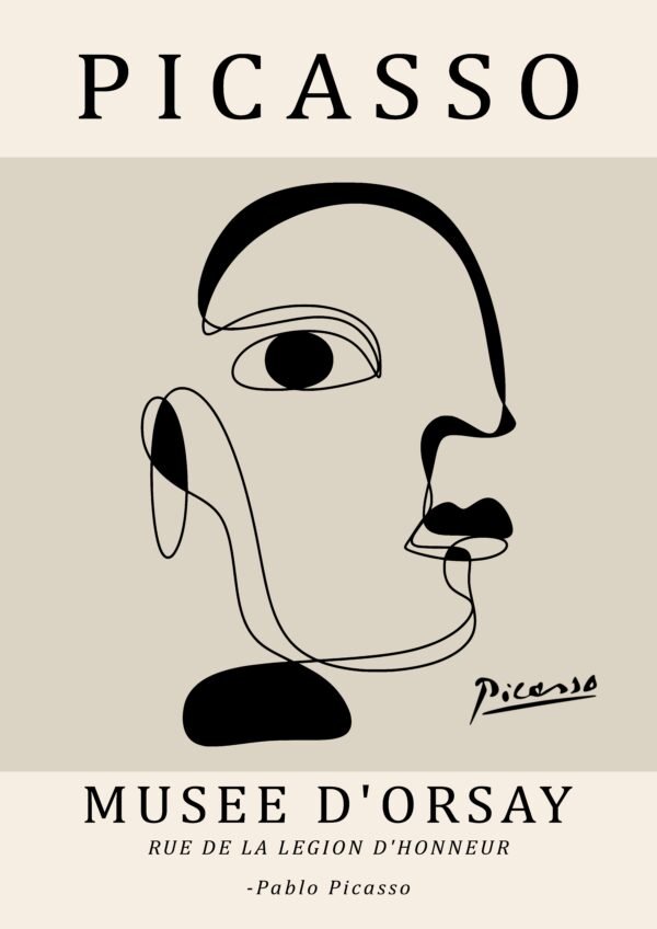 PICASSO cubism