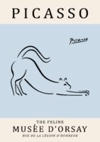 PICASSO cat