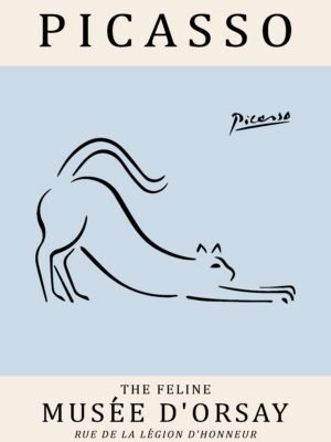 PICASSO cat