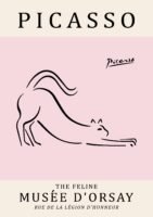 PICASSO cat