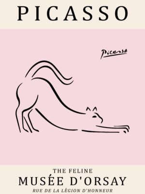 PICASSO cat
