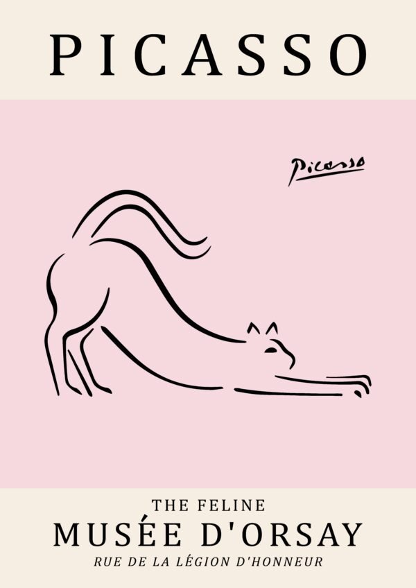 PICASSO cat