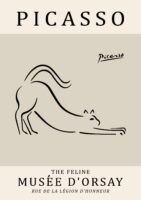 PICASSO cat