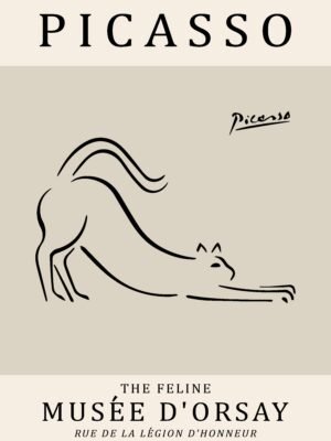 PICASSO cat