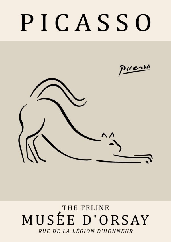 PICASSO cat