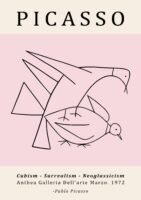 PICASSO cubism